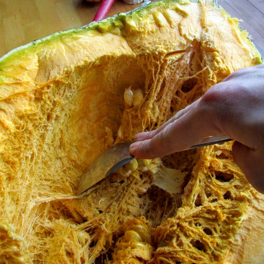 scooping seeds out of a hubbard squash