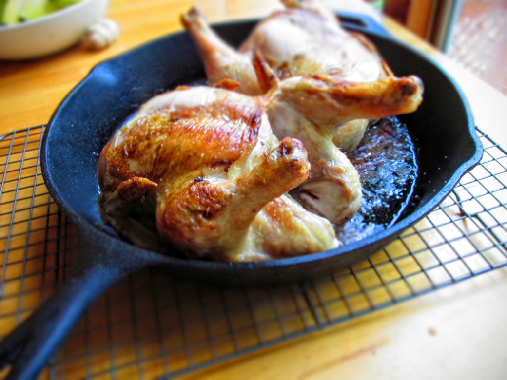pasture raised organic fed cornish game hens roasted to perfection